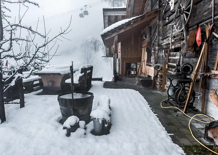 Eigerhome - The Mit Wellness - Griwa Rent Ag * Grindelwald